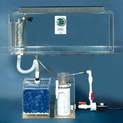 Clear-for-Life Deluxe 75-Gallon 48"Lx15"Wx24"H Rectangular Acrylic Aquarium