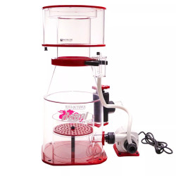 Reef Octopus Regal DC Skimmer 200 INT 400 Gallon @ Fish Tanks Direct