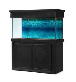 SeaClear 125-Gallon 60