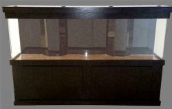Pro Clear ProStar 325-Gallon 120"Lx30"Wx24"H Rectangular Acrylic Aquarium Setup