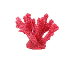 Mini Branch Coral #511