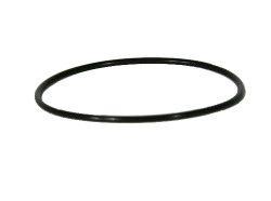 O-Ring for the Iwaki MD-55RLT and MD-70RLT motor drive pumps - #00107
