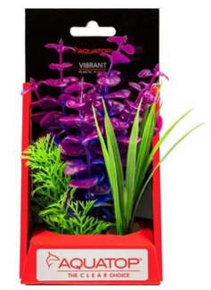 Aquatop Vibrant Wild Purpleberry Plant 6"