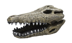 Hikari Resin Ornament Gator Skull