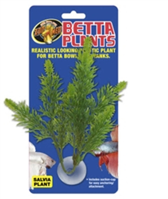 ZooMed Betta Plant Salvia