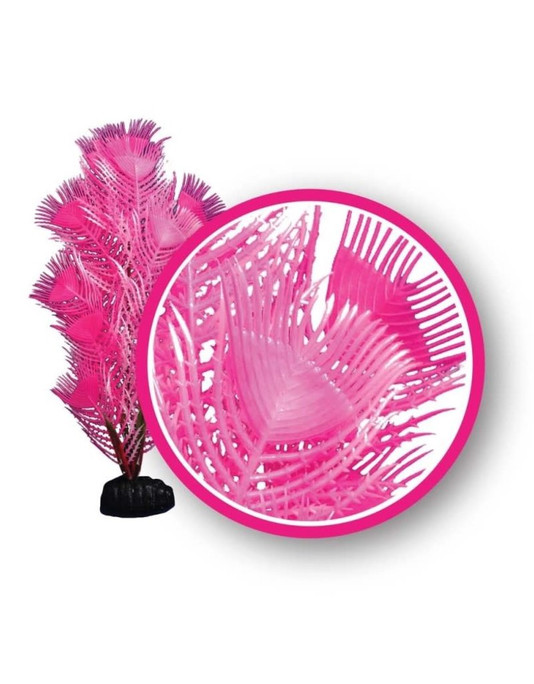 Weco Pink Princess Feather 12" Dream Series Wonder Plants