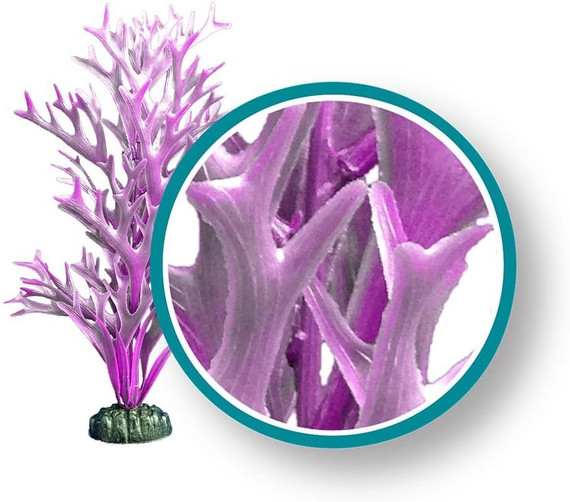 Weco Plant Purple Giant Kelp 9"