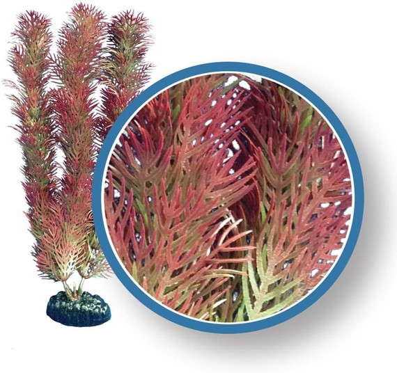 Weco Plant Red Cabomba 12"