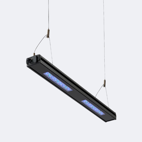 Reef Breeders Edge 24