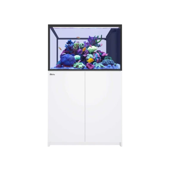 Red Sea REEFER MAX Peninsula 350 G3+ White
