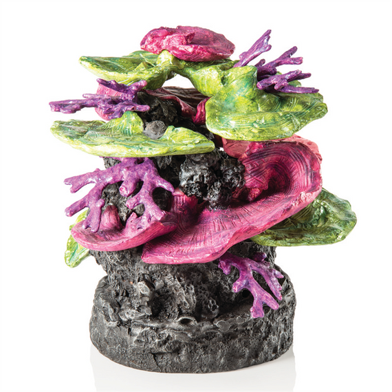 Biorb Coral Ridge Ornament Green-Purple