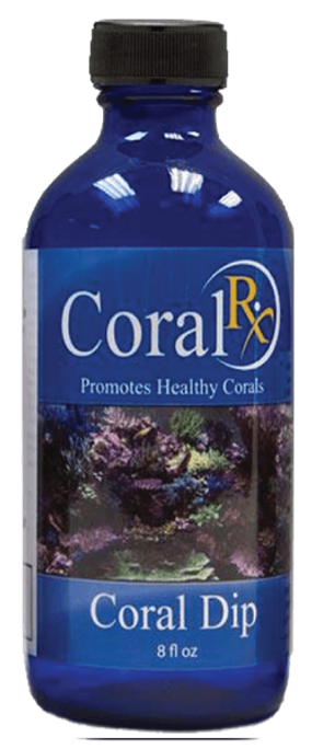 CoralRx 8oz Coral Dip - Case of 12