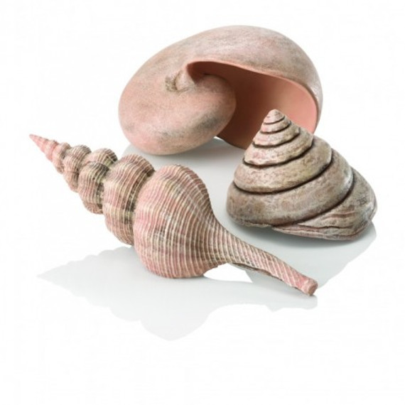 BiOrb Sea Shells Natural