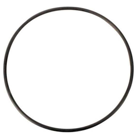 Two Little Fishies PhosBan Reactor 150 Replacement O-Ring