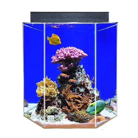 Clear-for-Life 55-Gallon 25"Lx25"Wx24"H Hexagon Acrylic Uniquarium