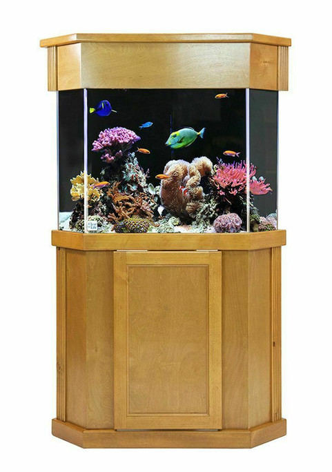 Best 50 Gallon Fish Tank,stand, And Supplies for sale in Redwood Falls,  Minnesota for 2024