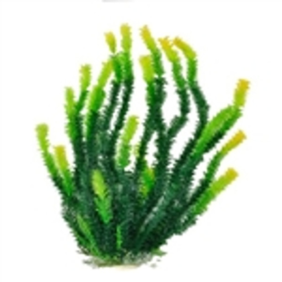 Aquatop Bushy Leaf Grass w/ Yellow Tip Plant 20"