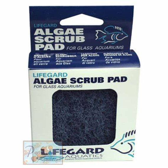 LifeGard Glass Algae Pad 3"x3"