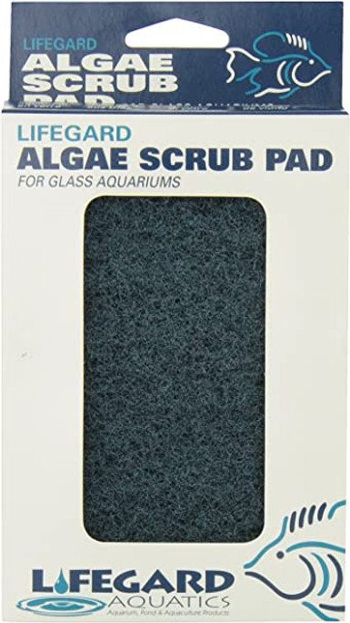 LifeGard Glass Algae Pad 4"x6"