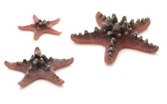 biOrb Starfish Set of 3 Natural