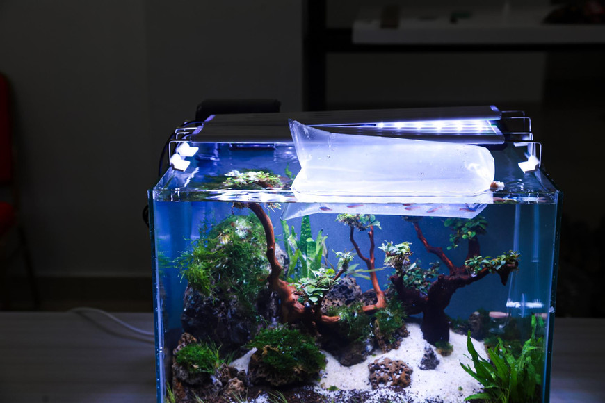 Why Aquarium Equipment Choice Matters More Than Tank Size