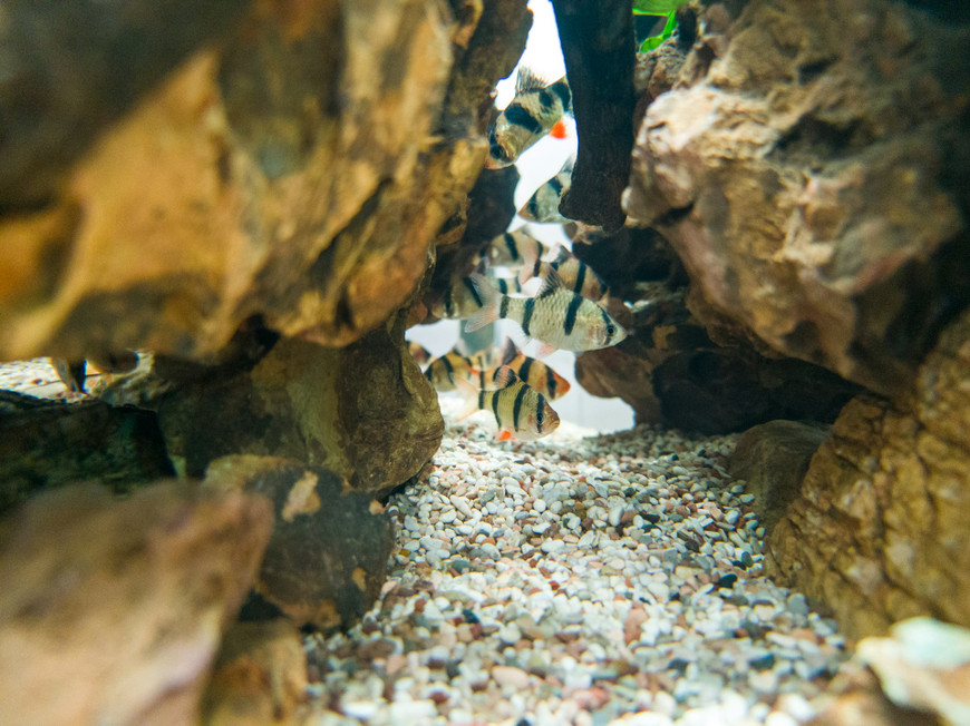 Saltwater vs. Freshwater Equipment: Budget Checklist & Upgrade Priorities