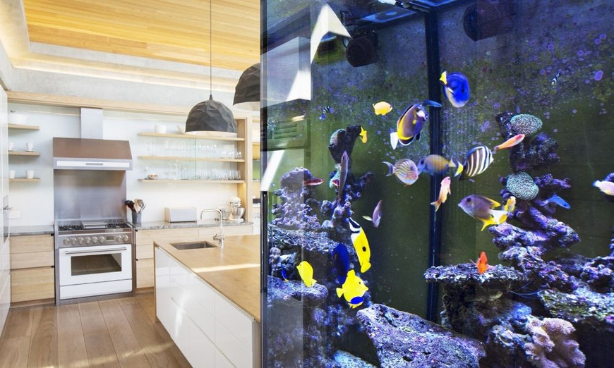 Are Big Aquariums Better? What's the Perfect Size