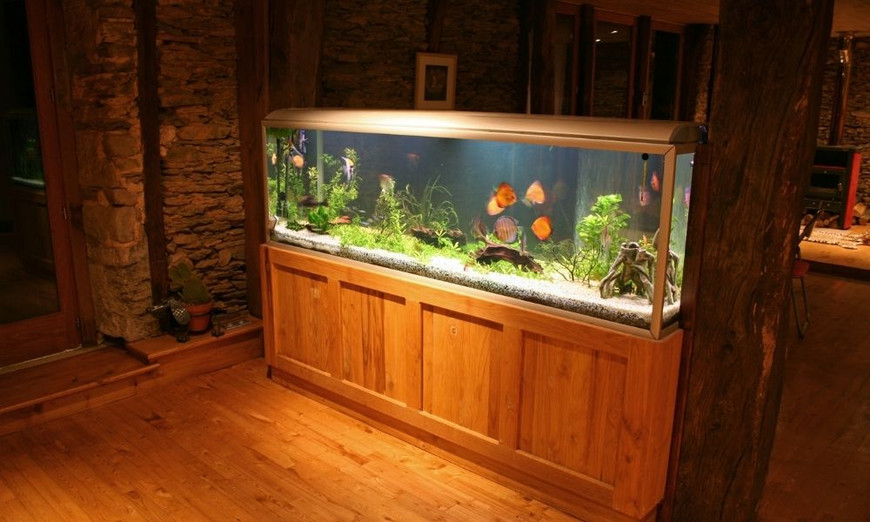 The Ideal Tank Height: How Tall Should Aquarium Stands Be?