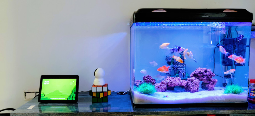 Hexagon Fish Tank Showdown: Comparing Top Aquarium Brands & Why Pro Star Acrylic Tanks Offer the Best Value in 2025
