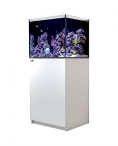 2-Feet (24") Long Rectangular Setups