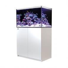 Fish Tank & Stand Setups