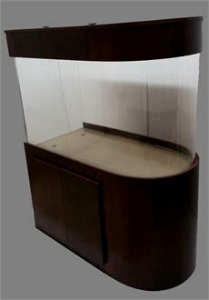 Bull Nose Aquarium Setups