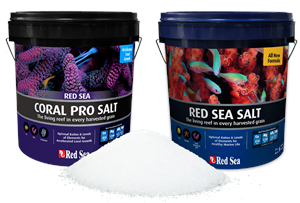 Red Sea Salt