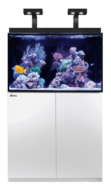 3-Feet Glass Rectangle Aquariums