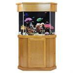 What Sizes and Shapes Do Bow-Front Fish Tanks Come In? - Fish Tanks Direct