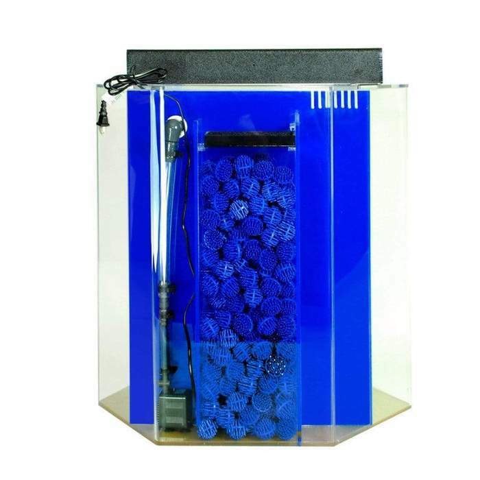 Clear-for-Life Hexagon Uniquariums