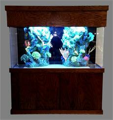 6-Feet (72") Long Rectangular Setups