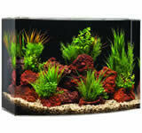 SeaClear 90-Gallon 48Lx18Wx24H Rectangular Acrylic Fish Tank @ Fish  Tanks Direct