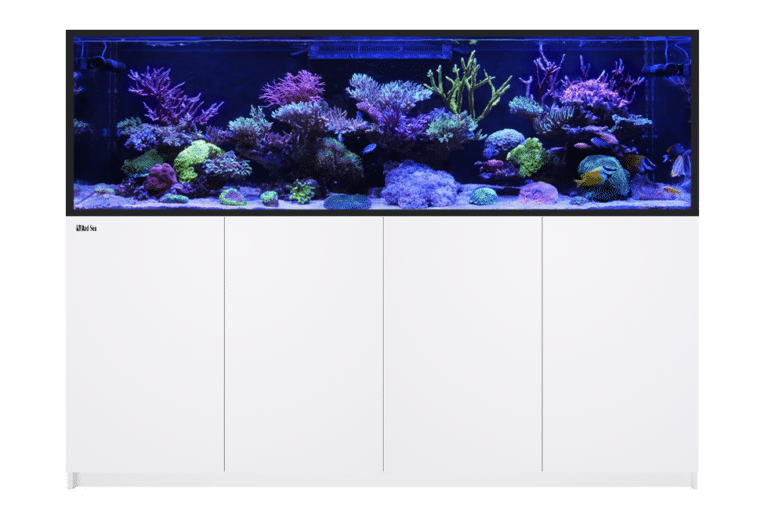 Reefer-S 1000 G2 Parts