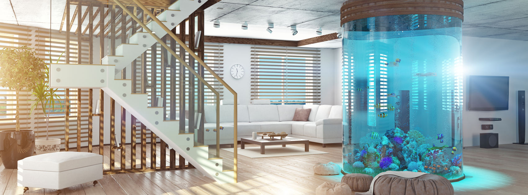 Large fish tank in modern home, Stock Photo, Picture And Rights