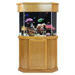 125 Gallon Aquariums