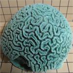 Artificial Loose Corals