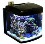 25-29 Gallon Aquariums