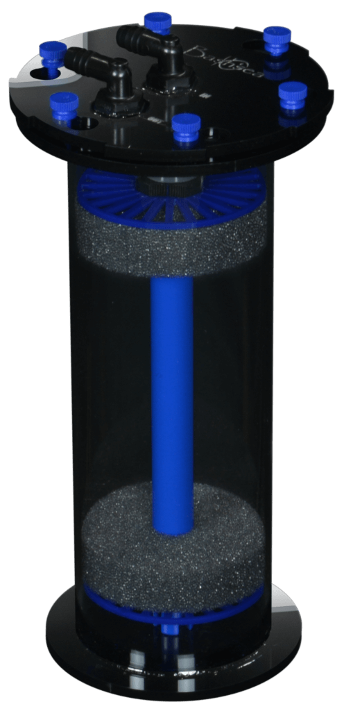 Bashsea Media Chambers