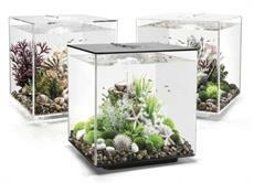 biOrb Cube Aquariums