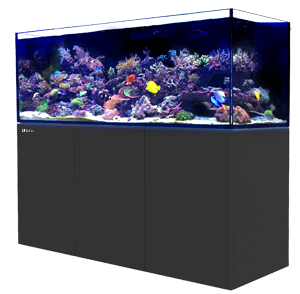 FS: Octagon 60 Gallon Fish Tank w/ stand, lights, and canopy