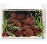 SeaClear 2-Feet Long (24")