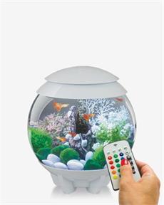 Self Contained Aquariums