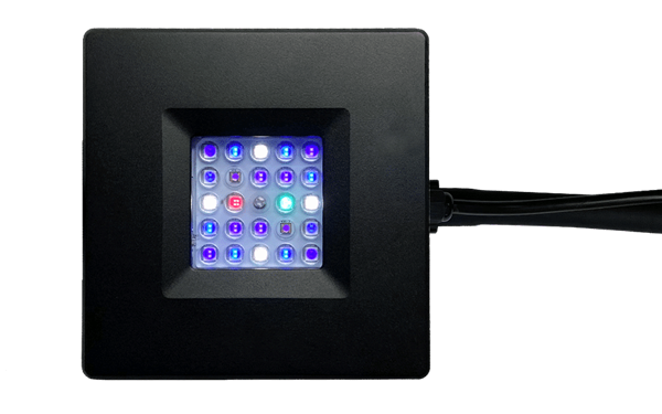 Current Orbit R24 Reef LED