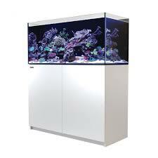 4-Feet (48") Long Rectangular Setups